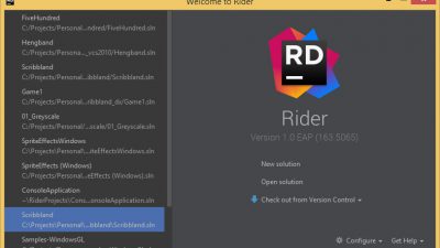JetBrains Rider, window visible after you start the application